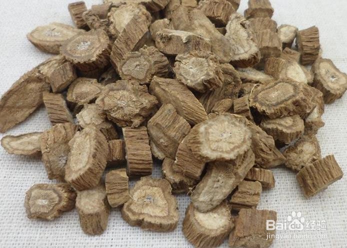 牛蒡茶与牛蒡根,哪个更好?具体又有哪些不同?