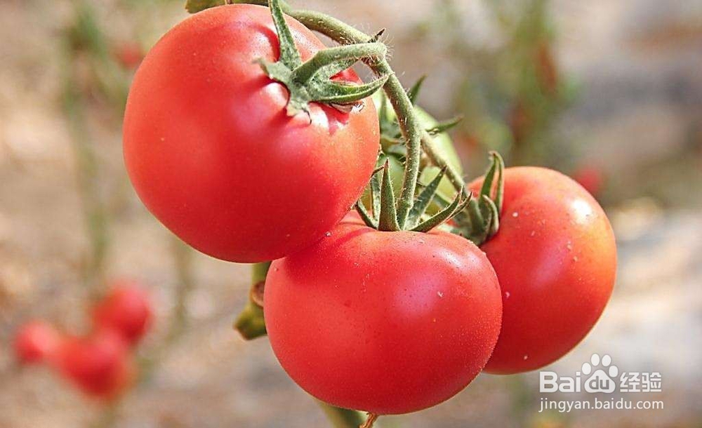 夏天的白天这些食物要少吃