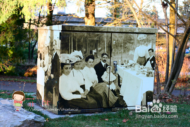 懒人菜蒜蓉烤青口&菲比喂小松鼠