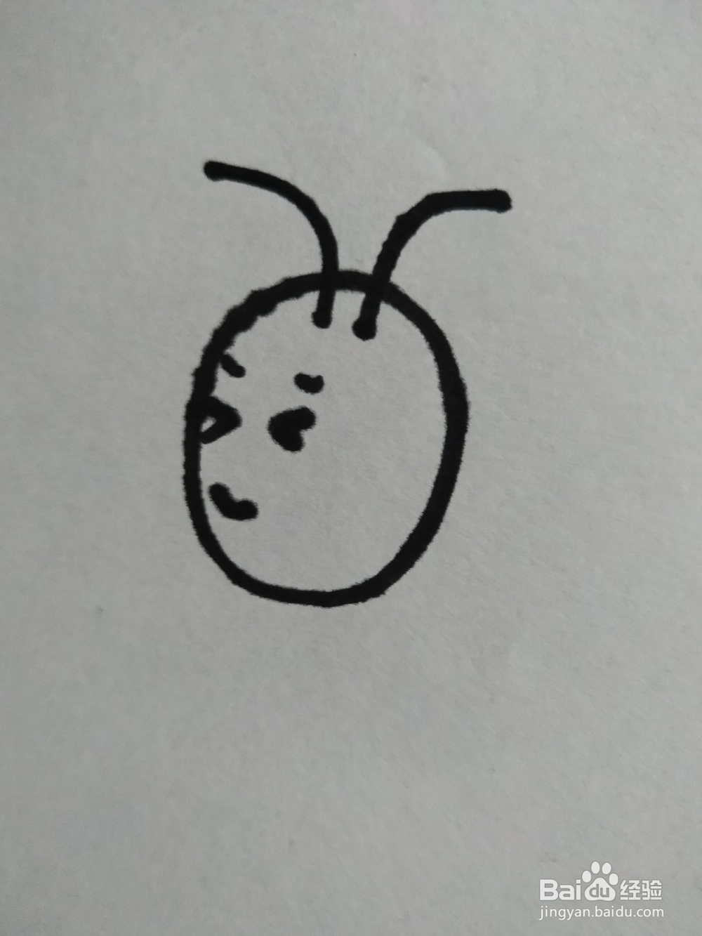 蜜蜂的简笔画技法8