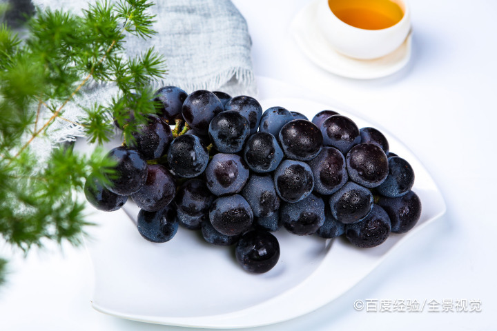 哺乳期、宝宝能吃黑加仑吗