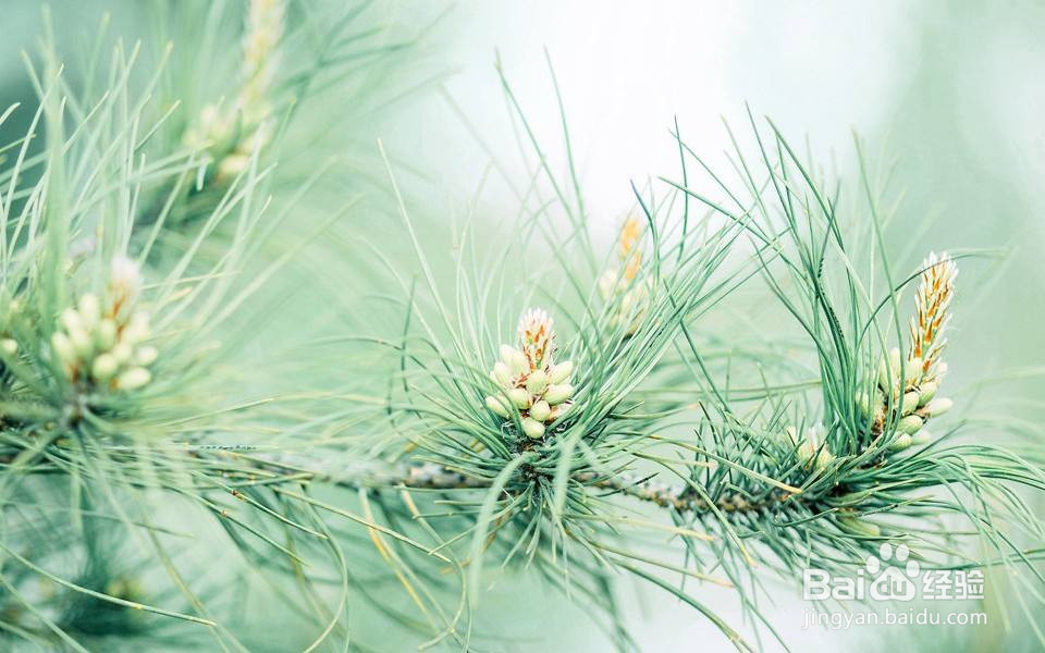 考研党如何释放压力？