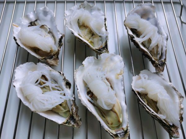 蒜泥魔芋烤生蚝