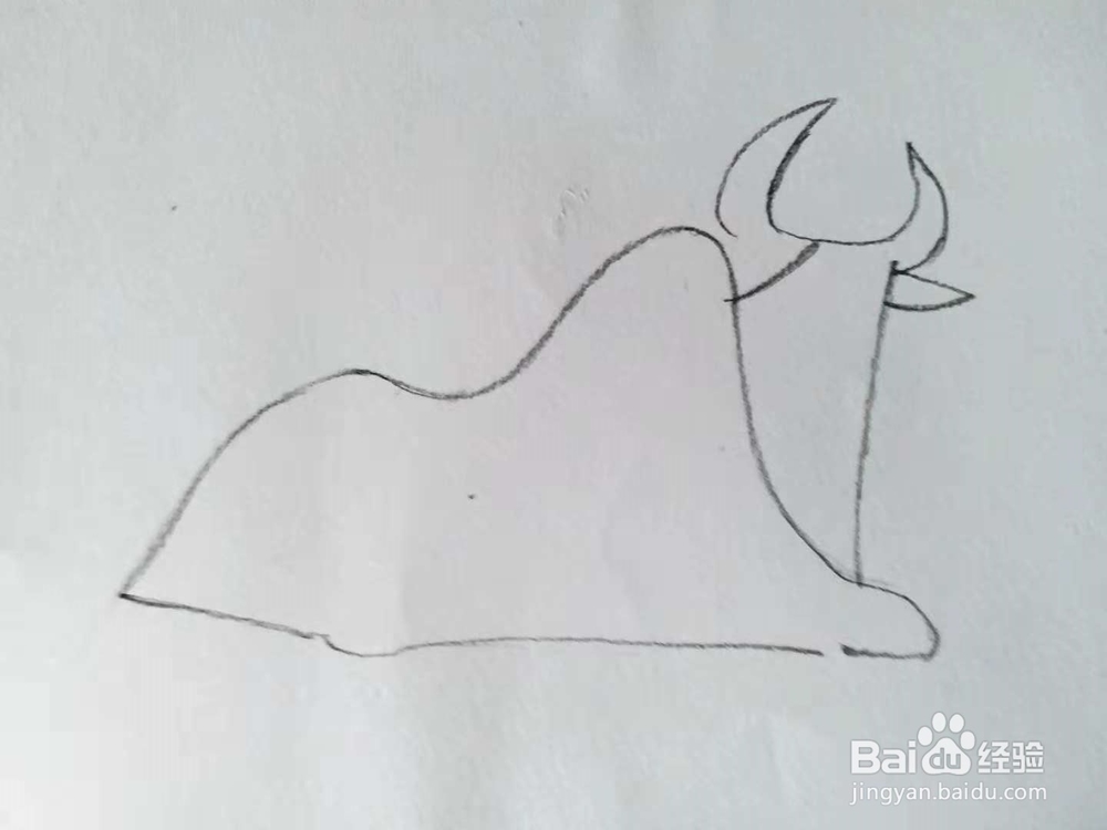 奶牛的简笔画法（三）