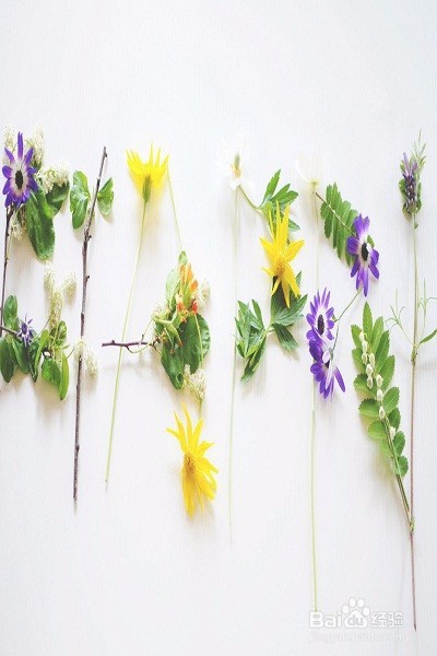 如何不被你爱的人当做备胎？