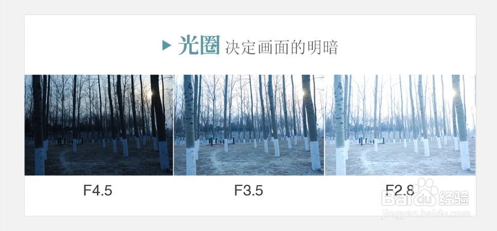 如何正确使用单反相机拍摄优质画面?