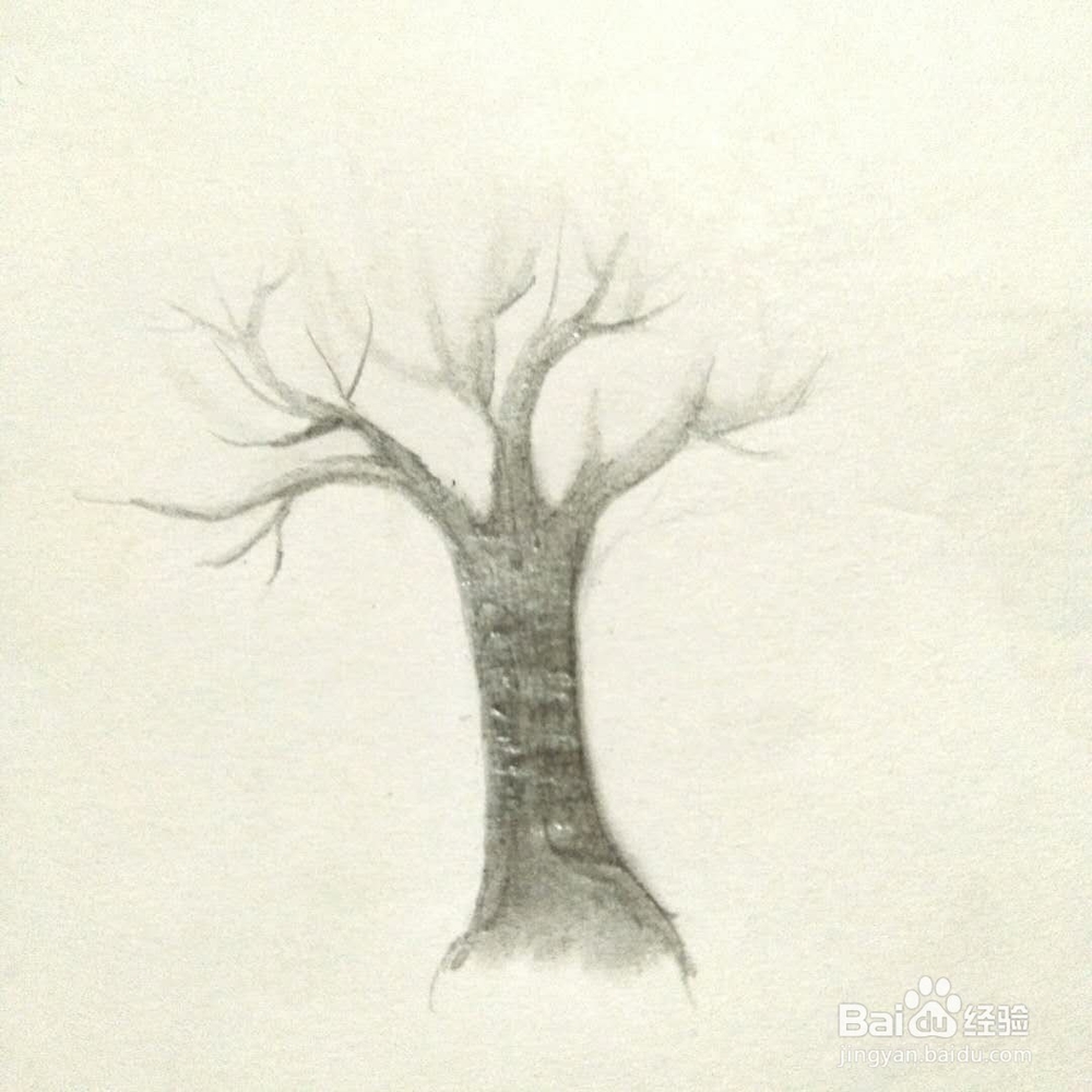 怎样画一颗树？