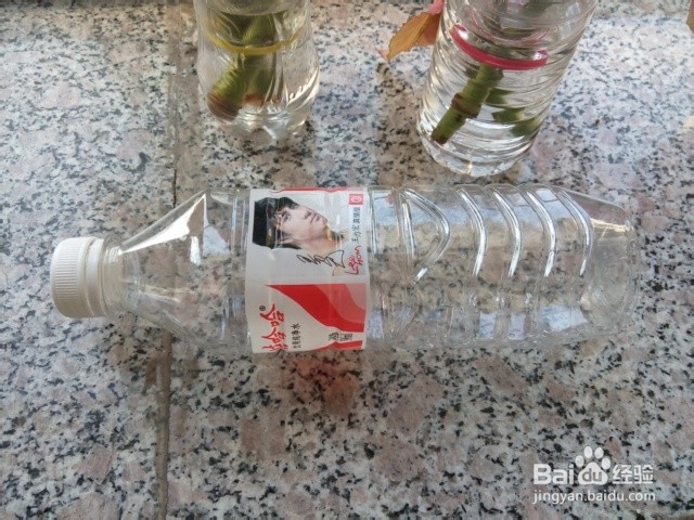 手工DIY:变废为宝：[3]矿泉水瓶变身简洁花瓶