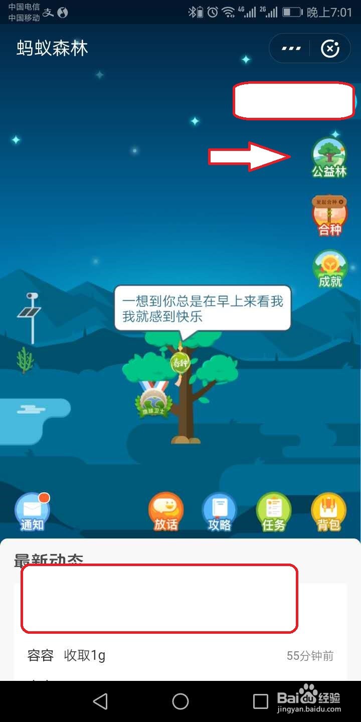 蚂蚁怎么给机构浇水
