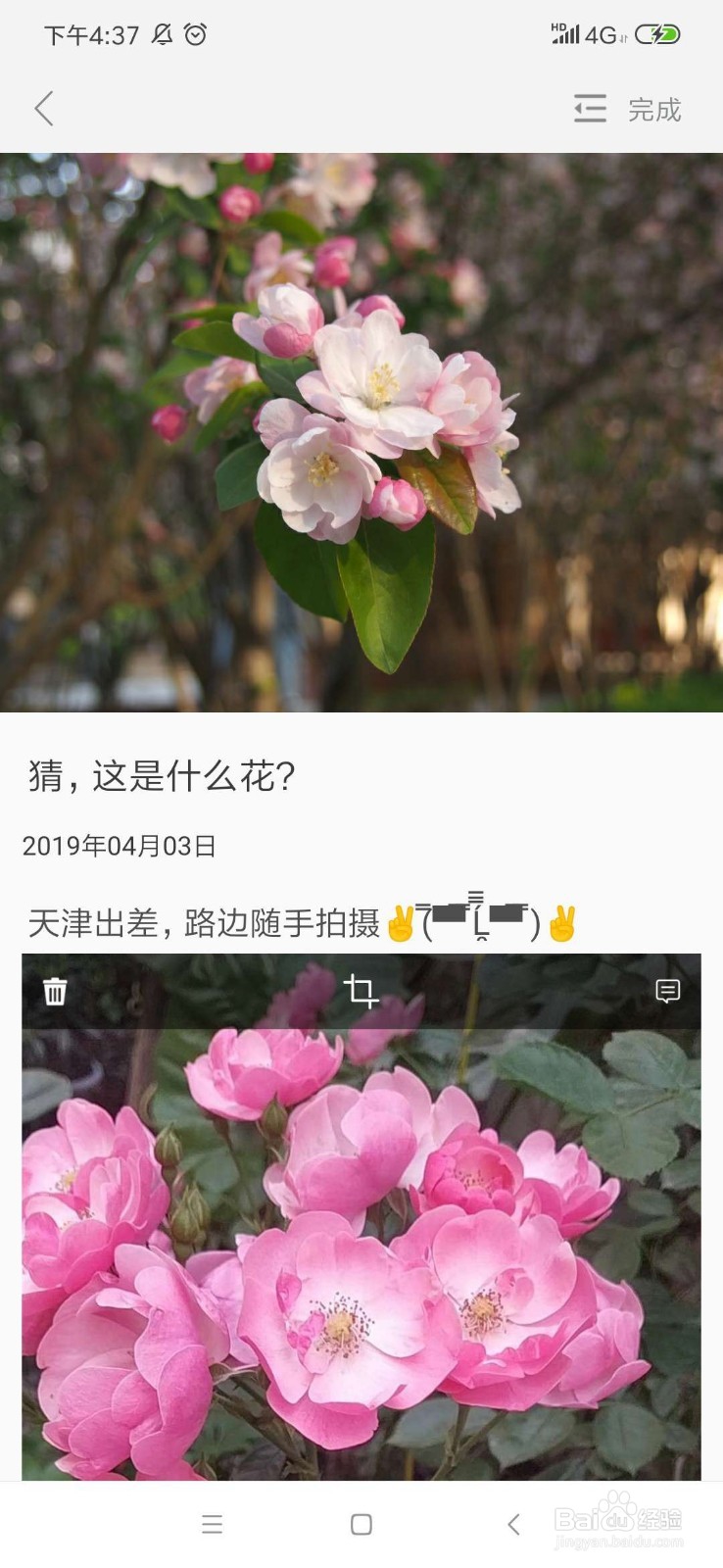 新华影像APP上，怎么修改已经发布的作品