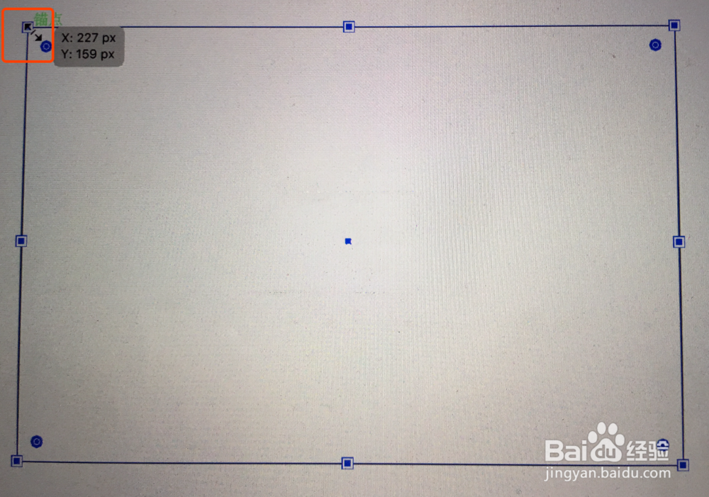 ai软件不能放大缩小图片？