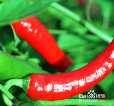 吃辣椒有哪些好处