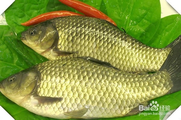 食用价值高的五种鱼