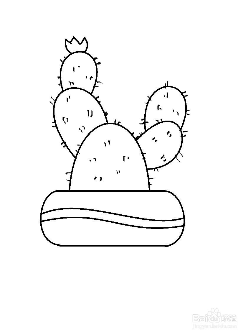 盆栽仙人掌的简单画法