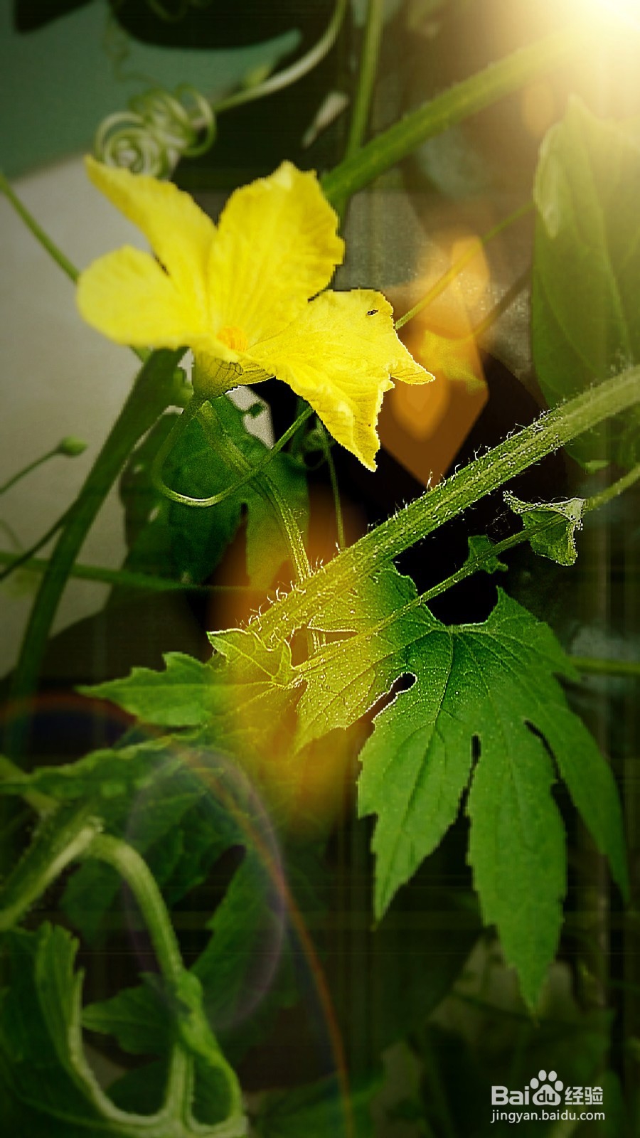 开启新生活之感慨分享