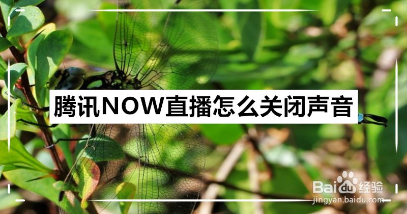 <b>腾讯NOW直播怎么关闭声音</b>