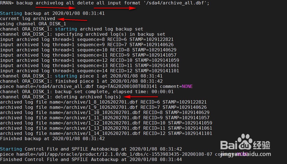 RMAN备份PLUS与INCLUDE和NOPROMPT还有input用法