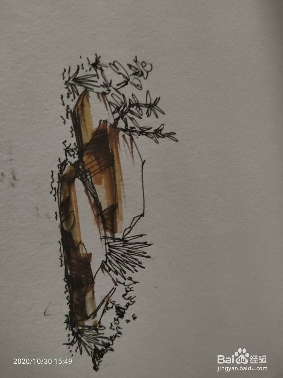 手绘中性笔绘植被