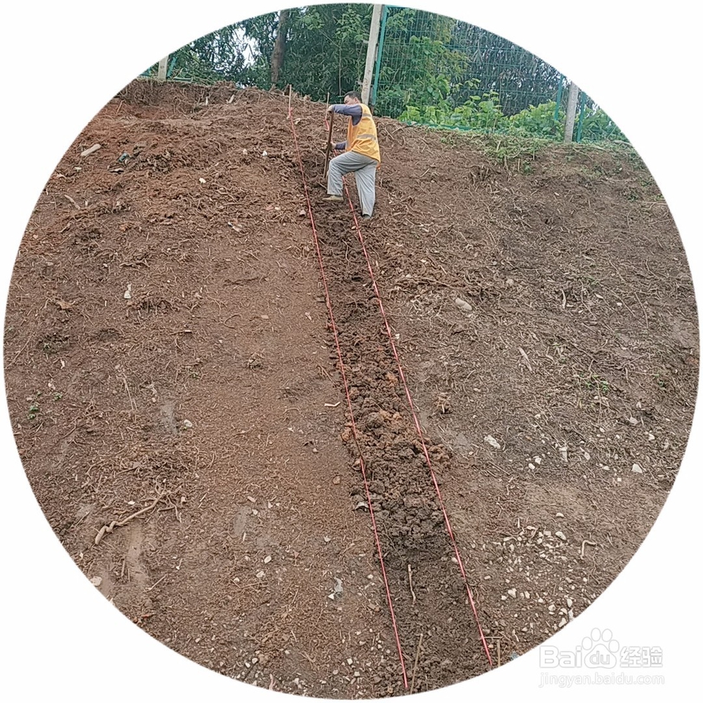 边坡人字骨架加固前期工程有哪些？