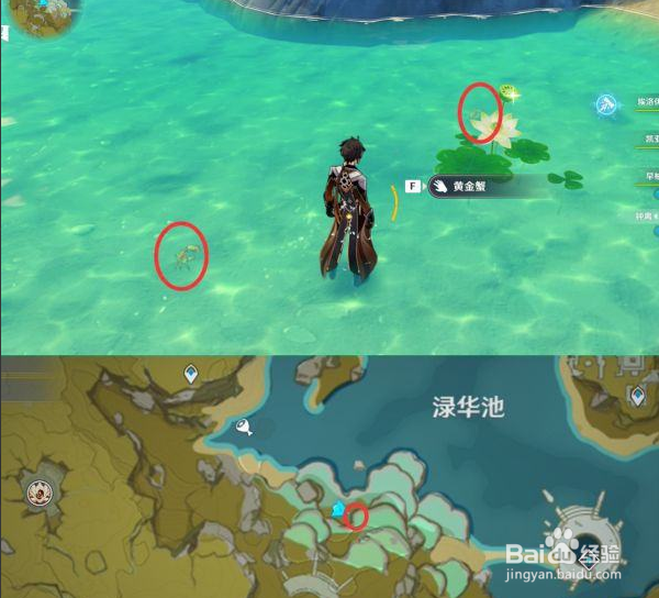 原神四方八方之网晴天鳅鳅蓝蛙黄金蟹位置