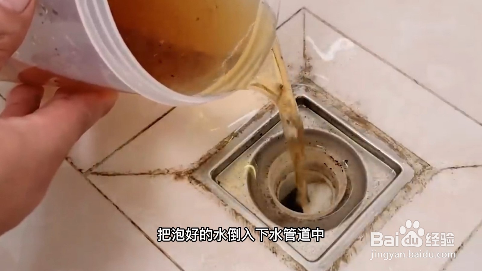 厨房里的小飞虫怎么消灭