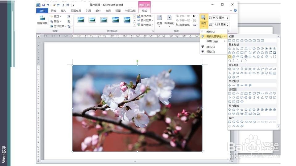在word如何快速将照片处理为唱片形？