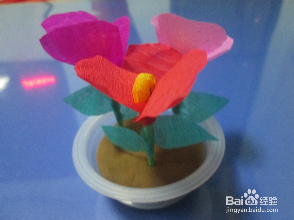 果冻盒子制作漂亮的小盆栽