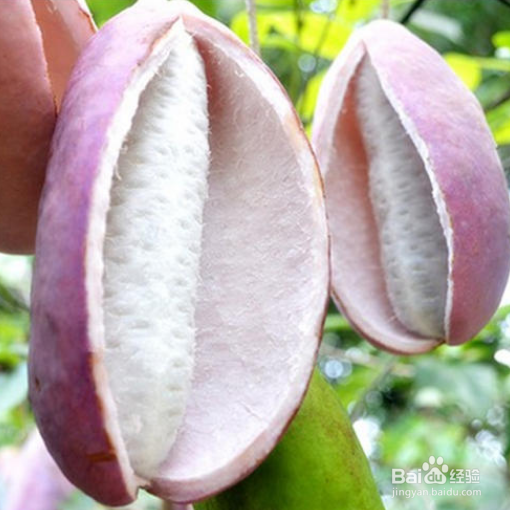 八月瓜皮怎么吃