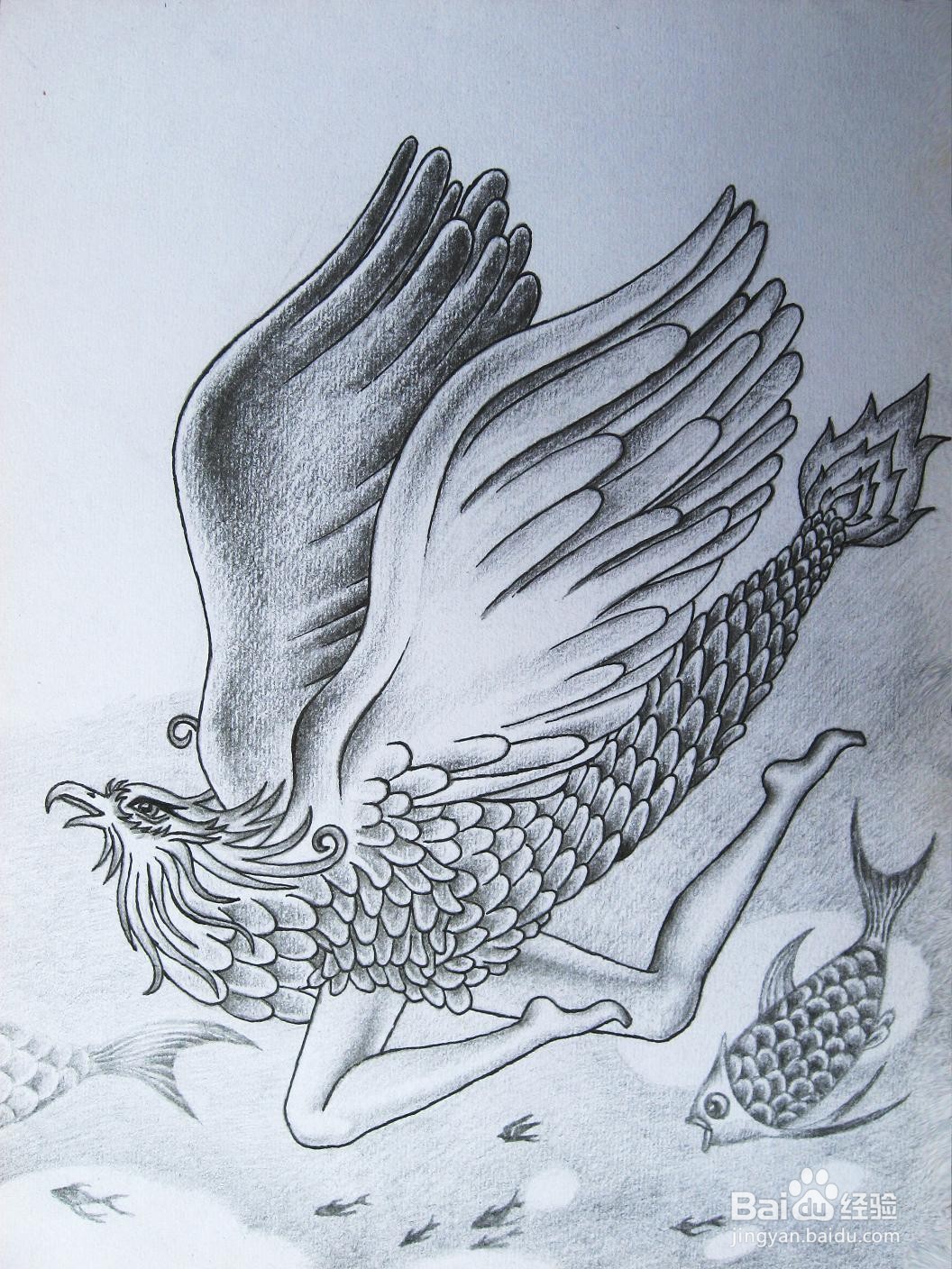 王疆原创CG插画《展翅翱翔》图片教程