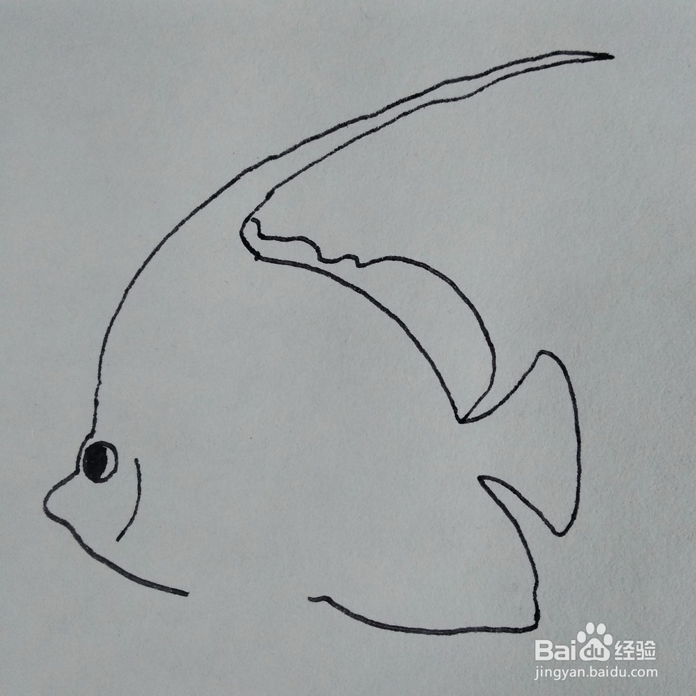 如何画出一条好看的神仙鱼卡通儿童简笔画