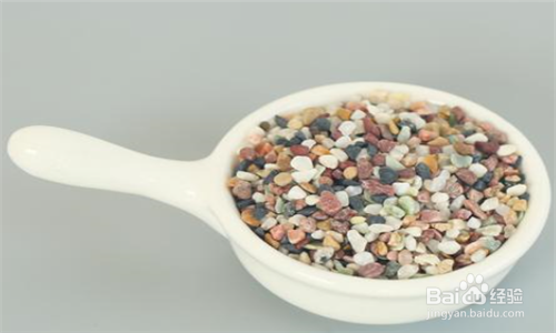 种植多肉植物有必要铺面吗,有什么要点