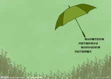 太阳伞品牌排行图片