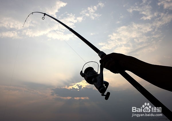 玉米粒钓鱼的用法是什么