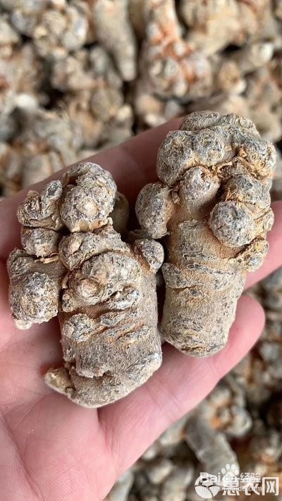 三七粉的吃法和功效