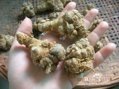 云南三七的吃法及功效