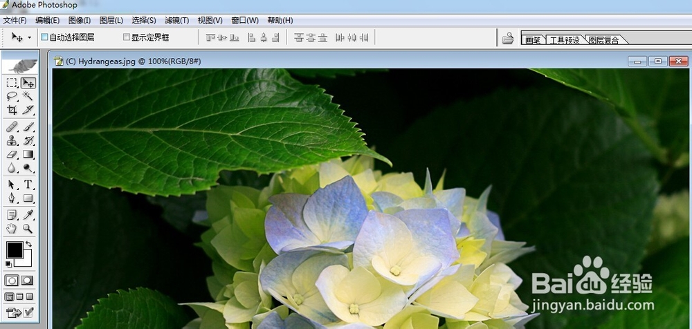 用PS如何打造照片朦胧感