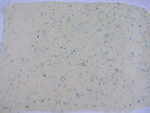 有一点甜有一点咸还有一点奶香—香葱饼干