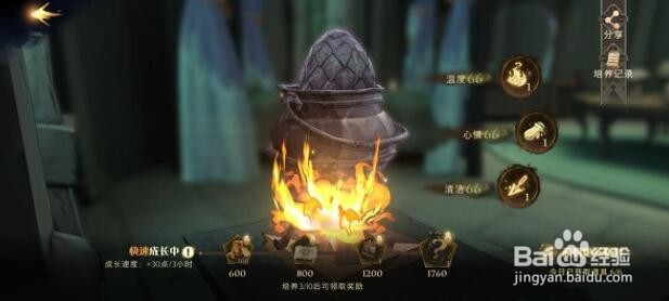 哈利波特龙蛋养成方法攻略