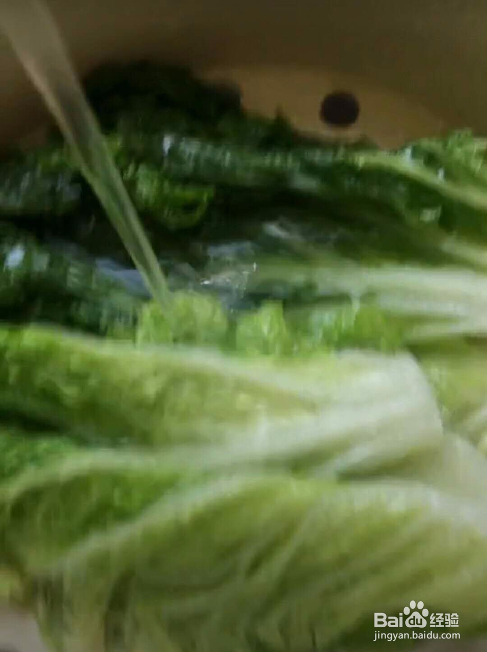 白菜豆腐肉卷做法