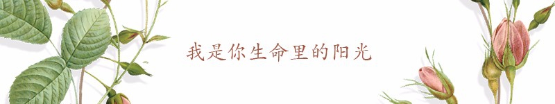 微商最有价值的玩法是什么