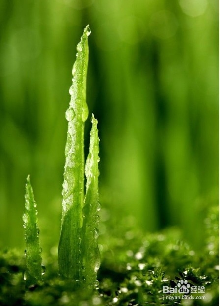 冬季吃什么养生？