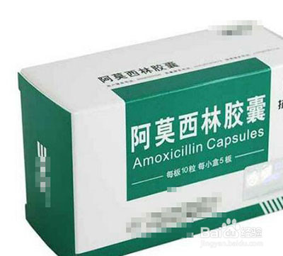 核桃树上虫子蛰了怎么办