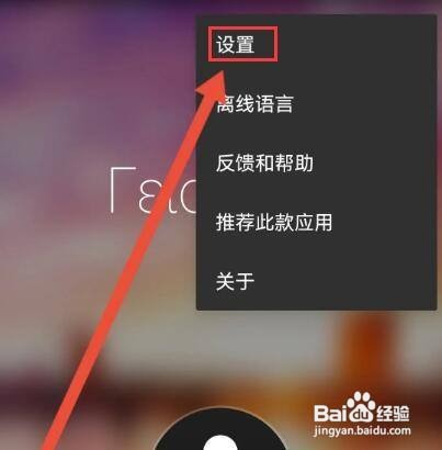 如何清空微软翻译APP的翻译记录