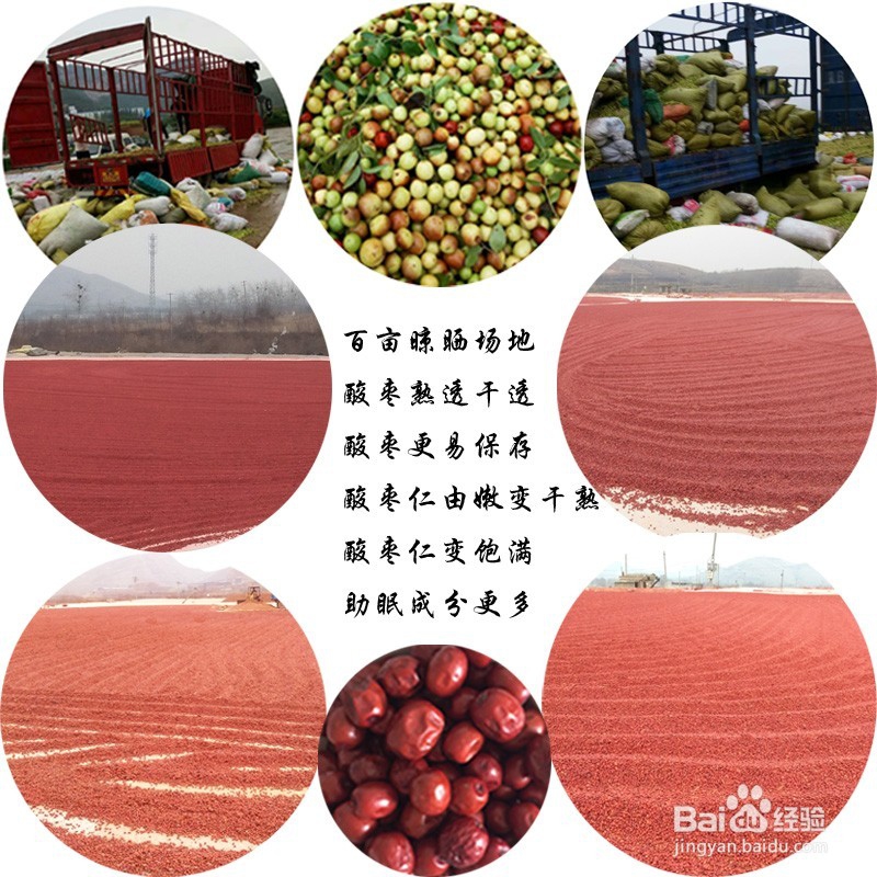 太行山酸枣仁，正宗产地，治疗失眠效果好