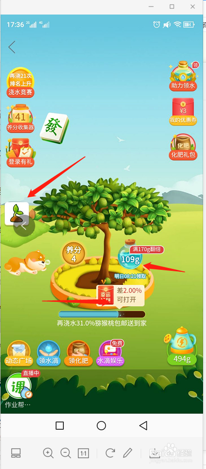 拼多多领取免费水果攻略