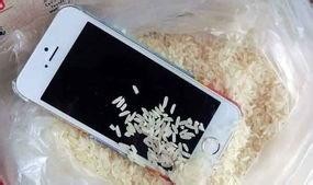 手机掉水里了开不了机怎么办