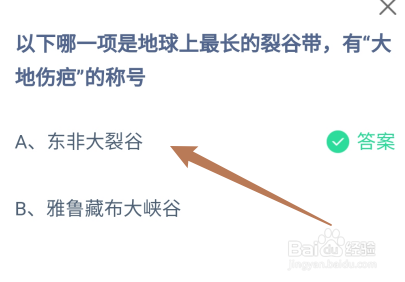 蚂蚁庄园：哪一项是地球上最长的裂谷带