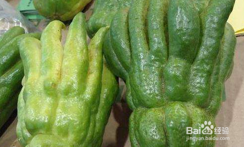 伊佛手的功效与食用方法