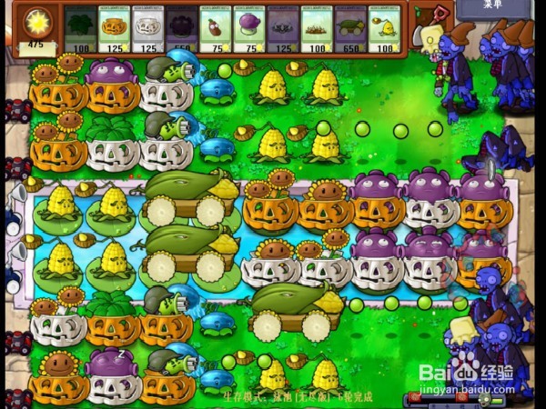 怎样通关植物大战僵尸无尽版呢？