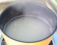 美味木瓜粥做法